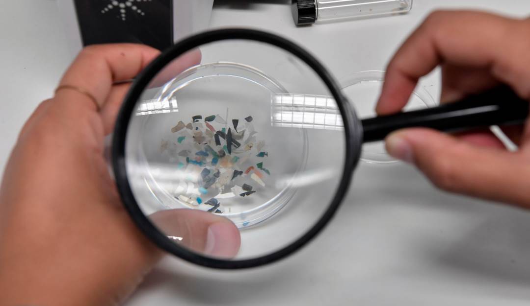 Muestra de microplásticos recolectados en el mar.                      Foto: Getty 