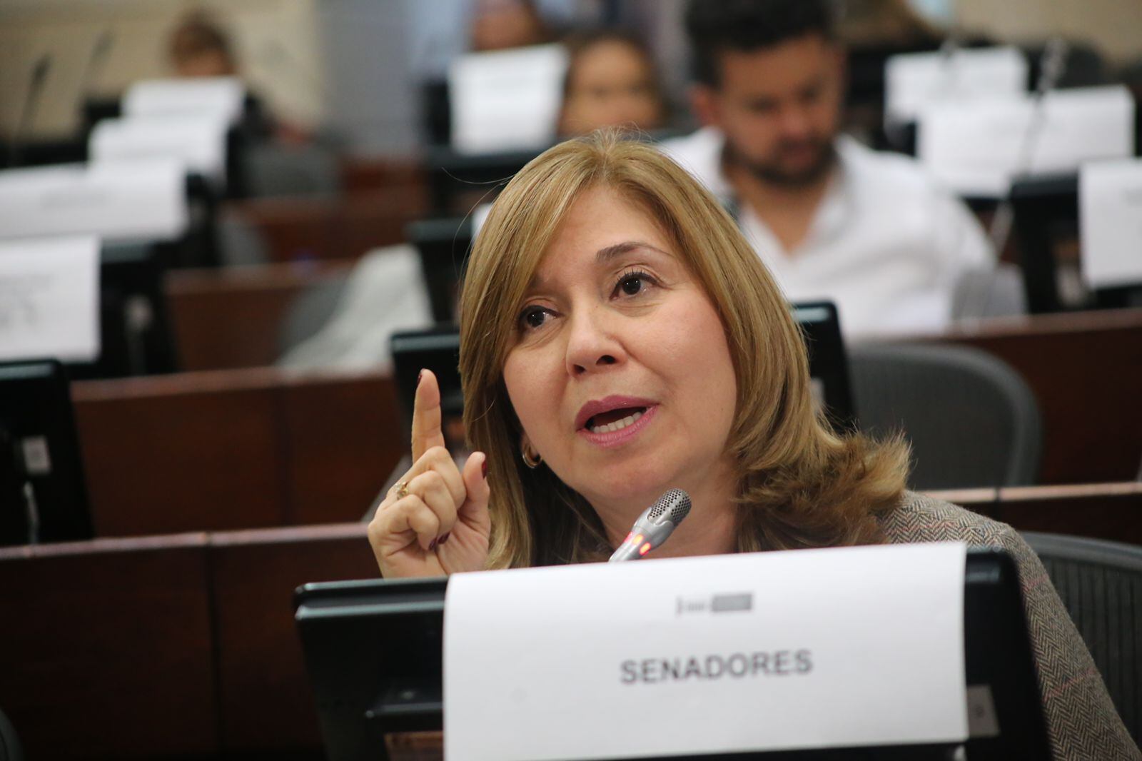 Senadora Norma Hurtado, Partido de la U(Prensa Senado).
