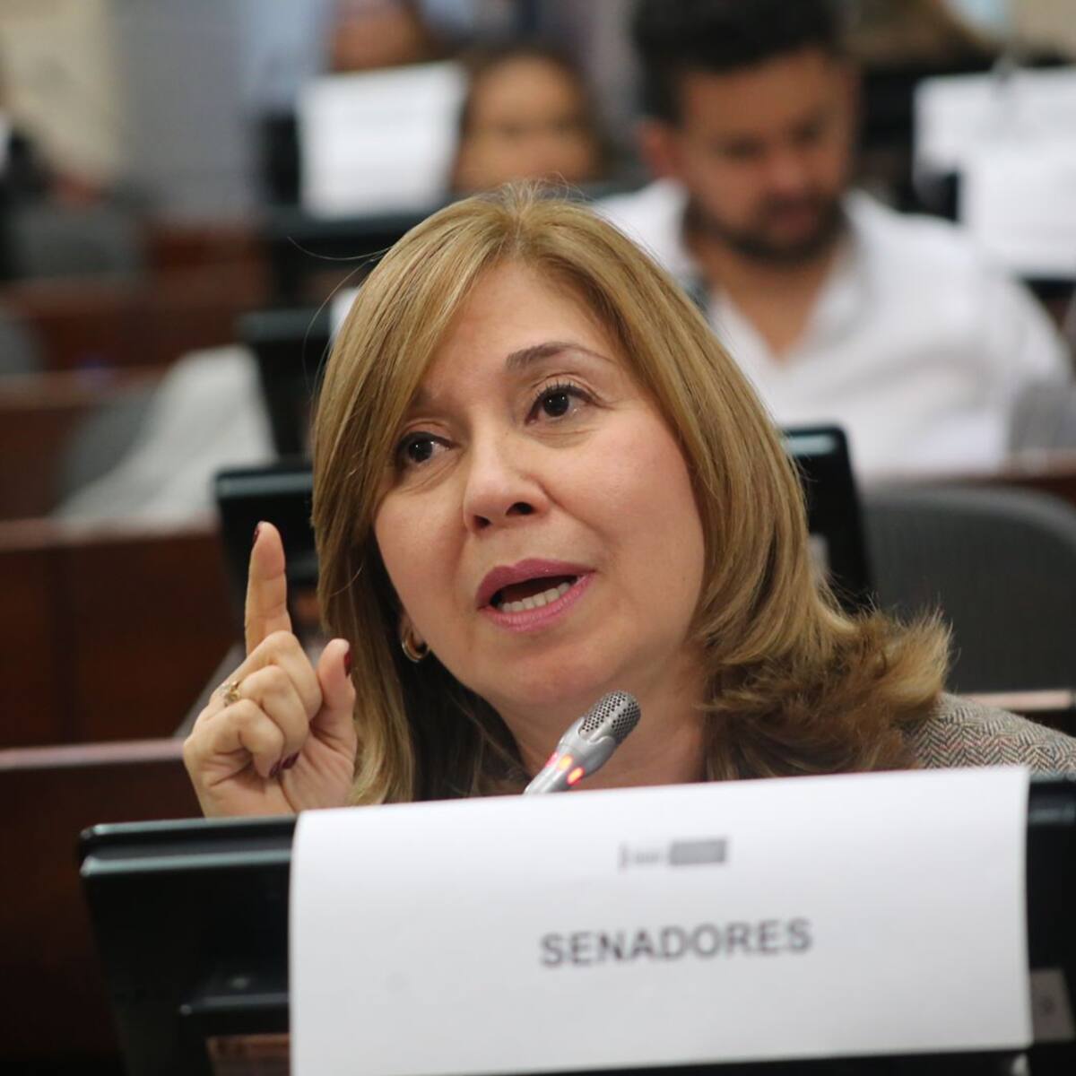 “Reforma a la salud deberá generar consenso para la tranquilidad del país”: Senadora Hurtado