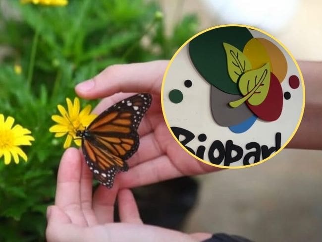 Julián Díaz Zambrano, gerente de Neomundo