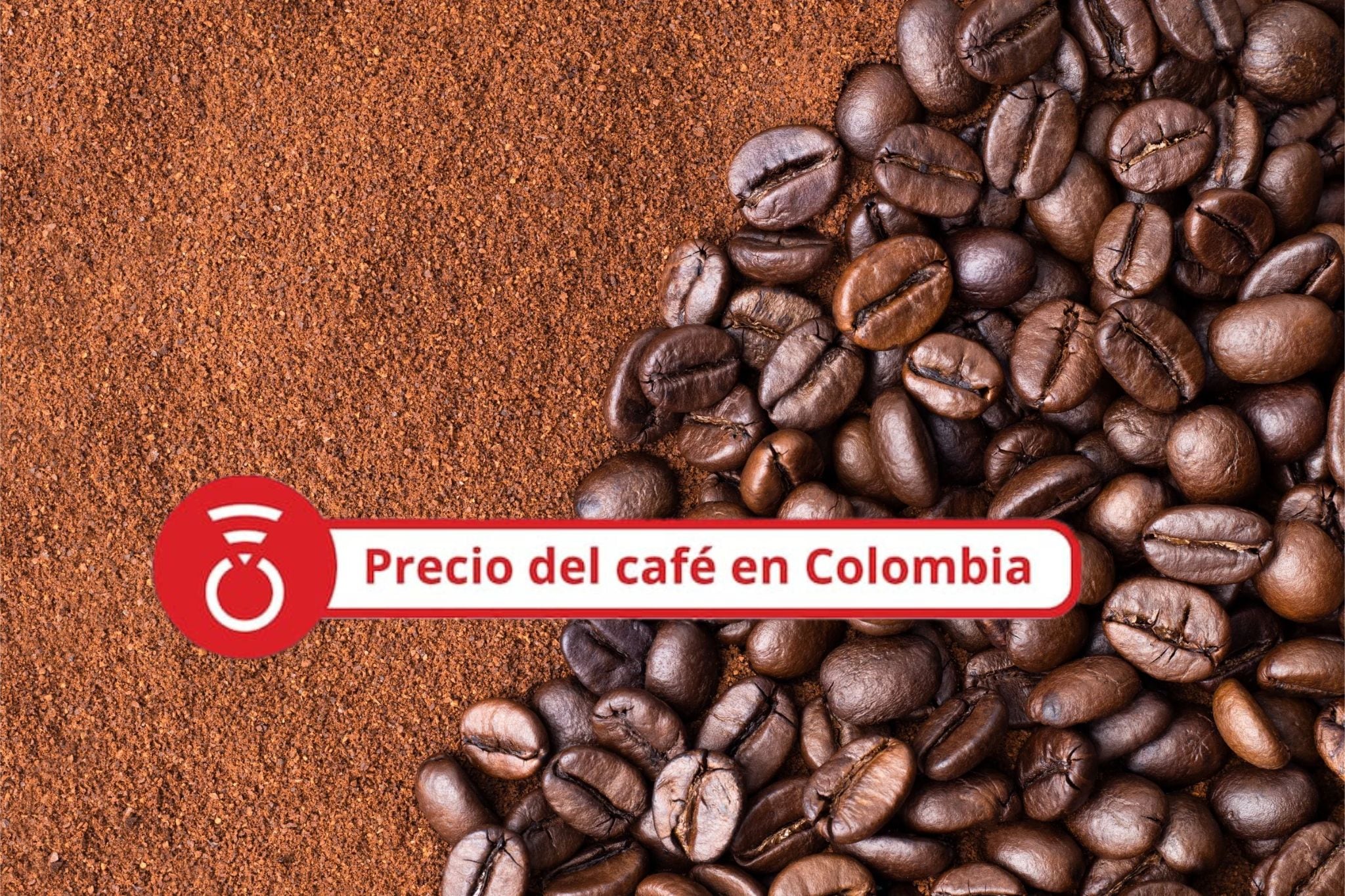 Granos de café tostados y café molido. Foto Getty Images