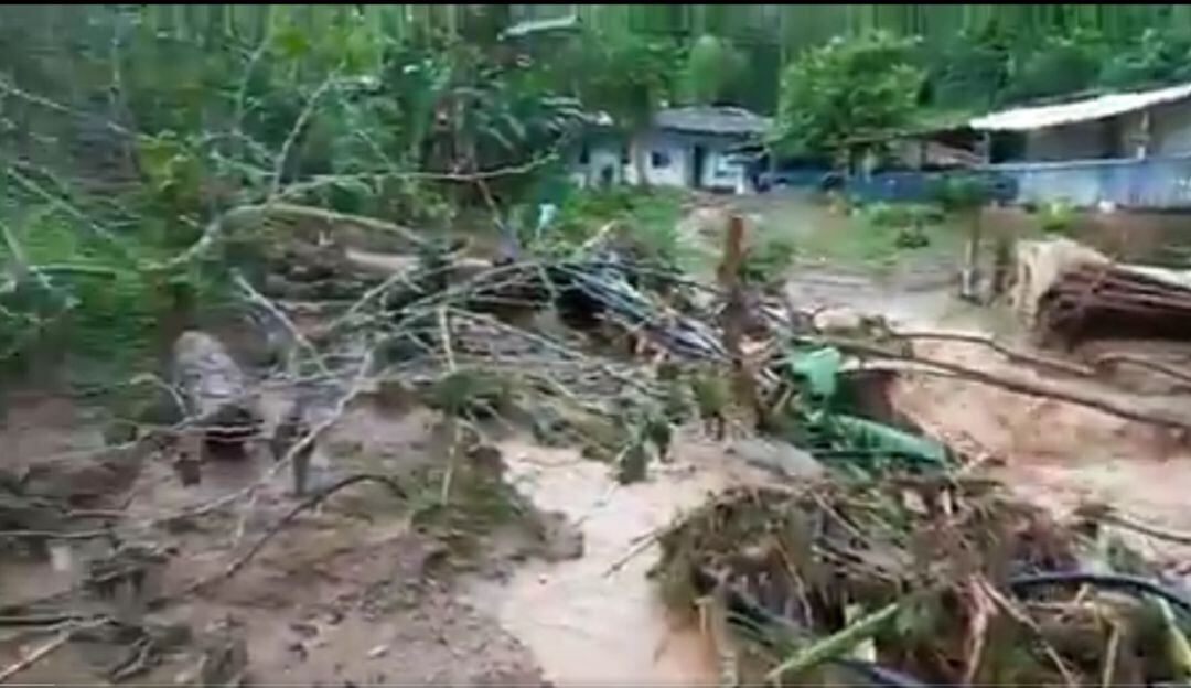 Vendaval en Riofrío