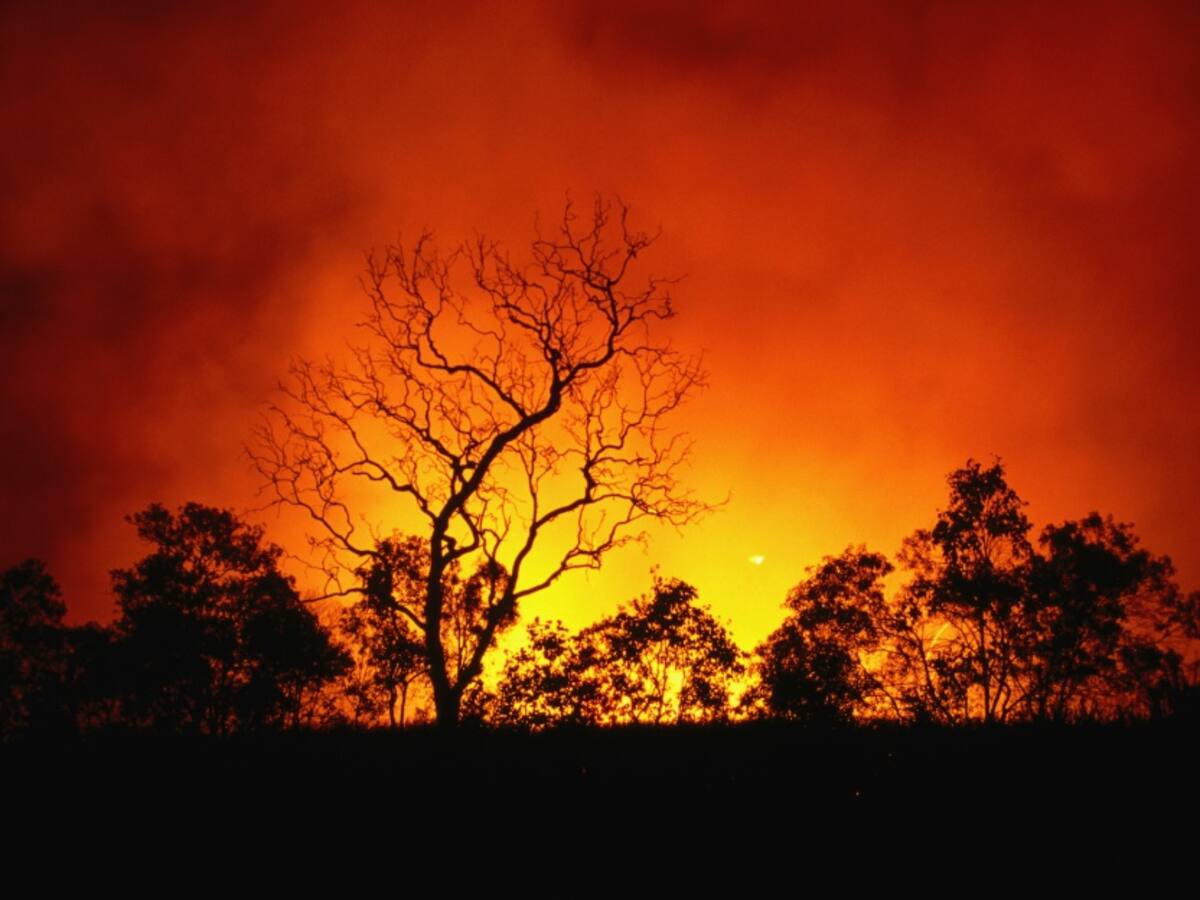 Ayuda aérea esperan en Macanal por incendio forestal