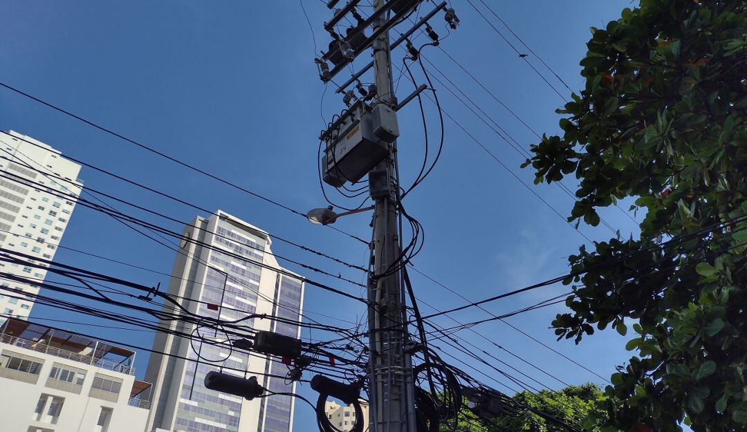 Se trata del circuito Bosque 14 que recorrerá los barrios de El Prado, Bruselas, Paraguay, Chile, Los Cerros, San Isidro y Nuevo Bosque