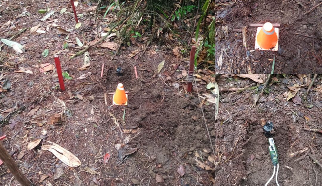 Minas antipersonal destruidas en Samaná