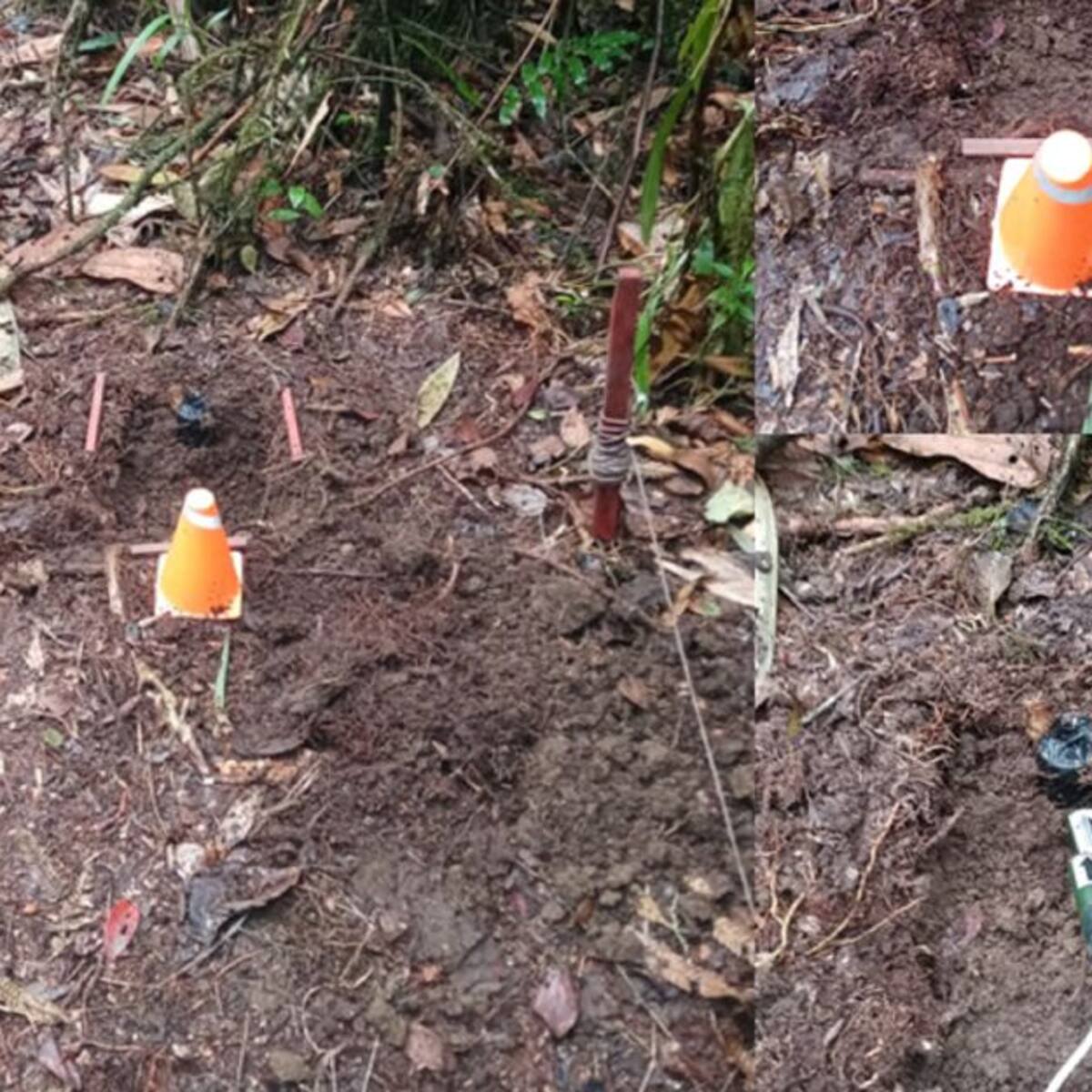 11 minas antipersonal han sido desactivadas en julio en Samaná, Caldas