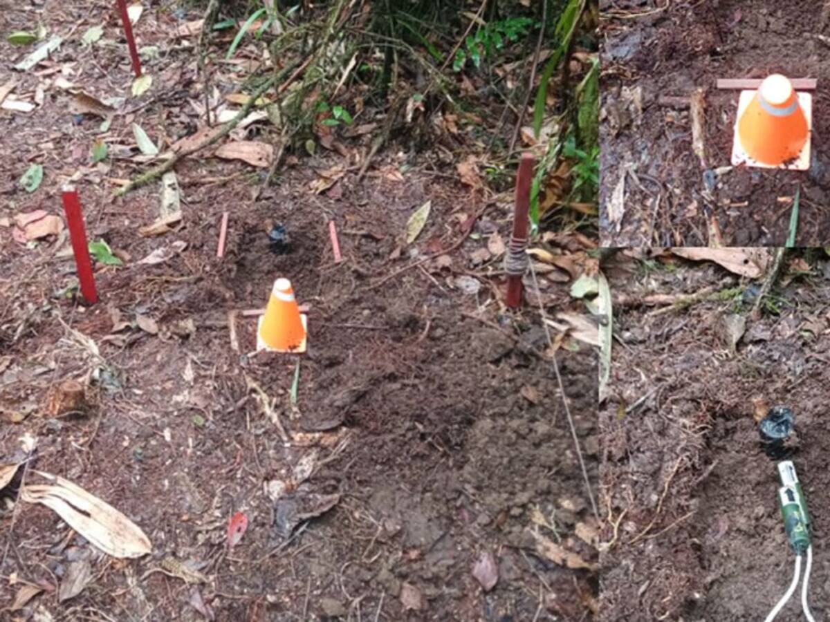 11 minas antipersonal han sido desactivadas en julio en Samaná, Caldas