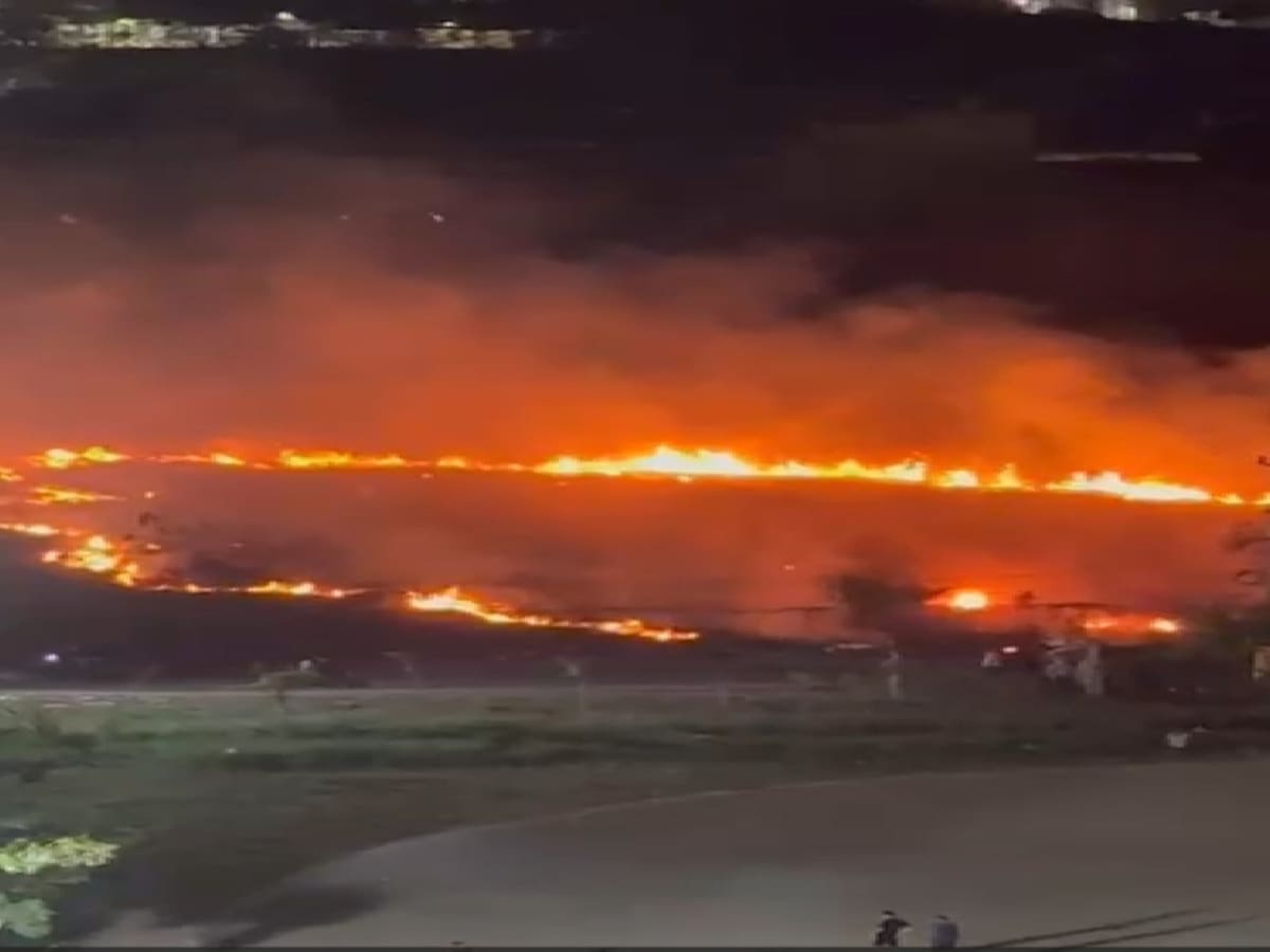 Incendio de cobertura vegetal afectó lote en Las Palmeras