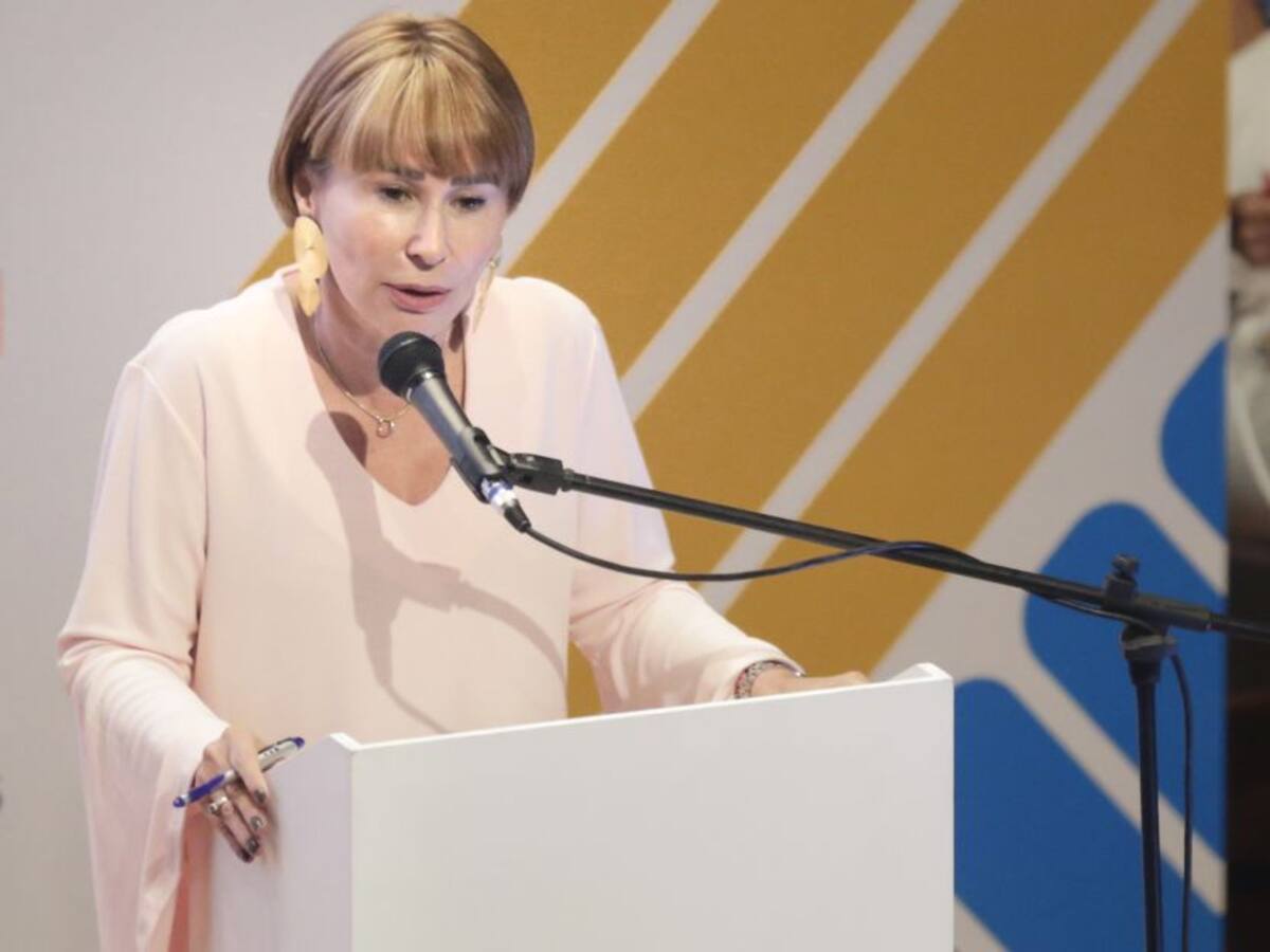 Son 25 líderes sociales asesinados durante 2020: MinInterior