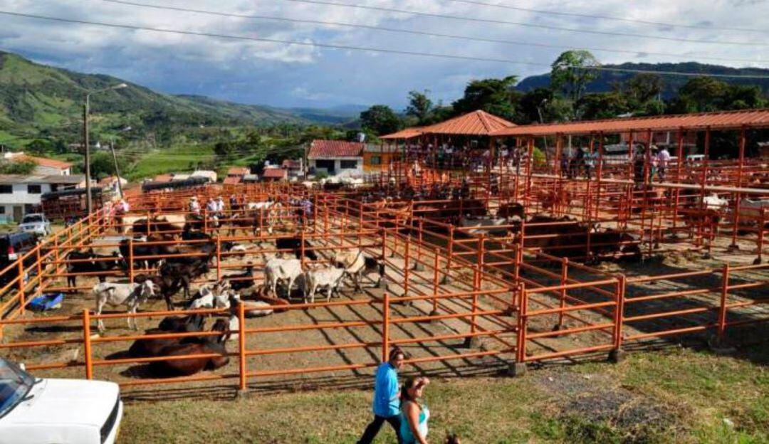 Denuncian que harán mercado ganadero en medio de la pandemia 