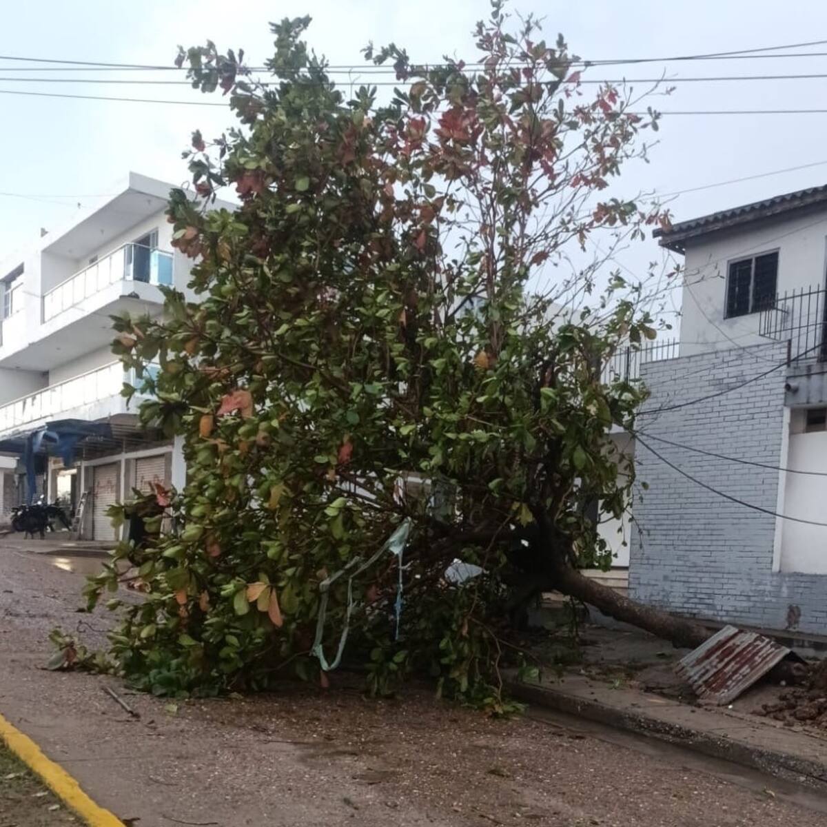 Vendaval en Chibolo, Magdalena deja 400 viviendas afectadas