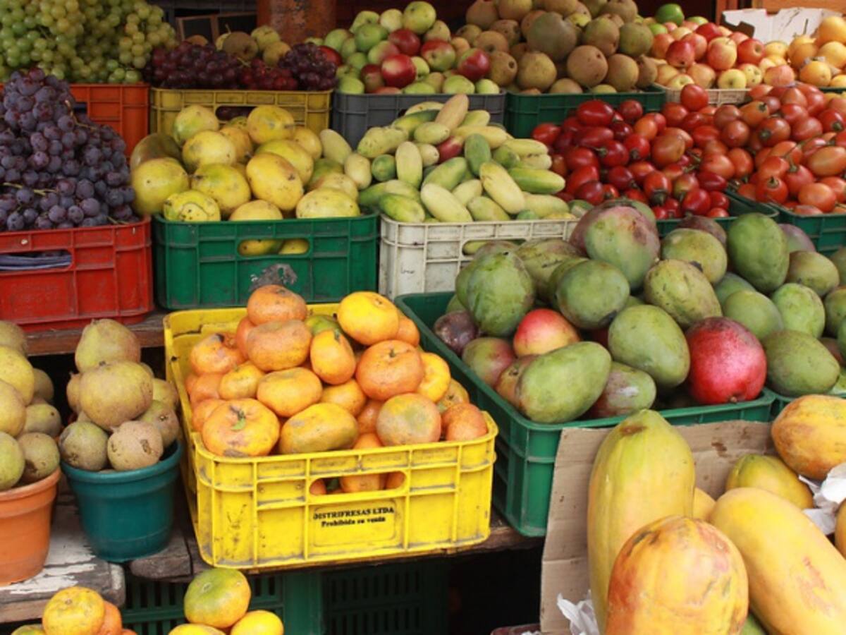 Avanza plan piloto para eliminar intermediación en venta de alimentos