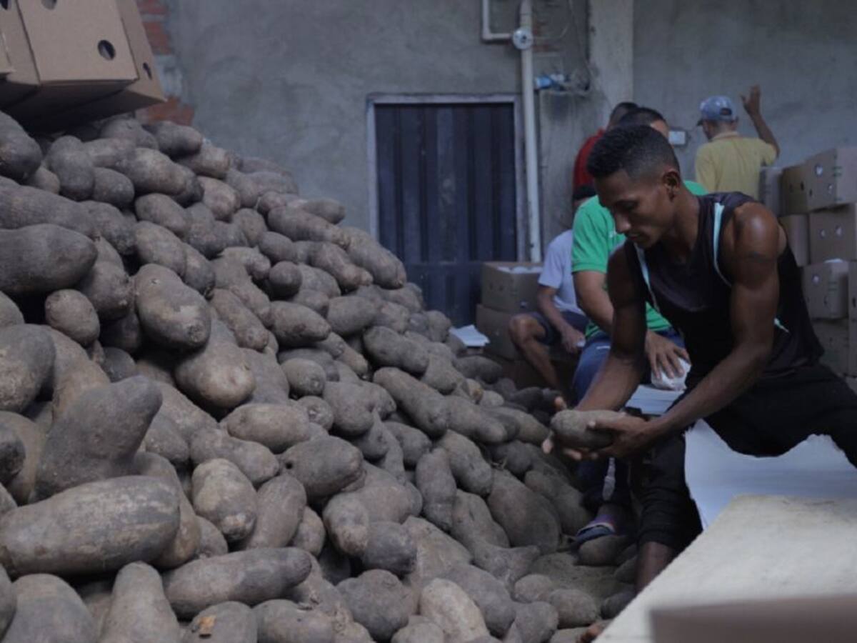 34 proyectos lideran la reactivación económica en los Montes de María