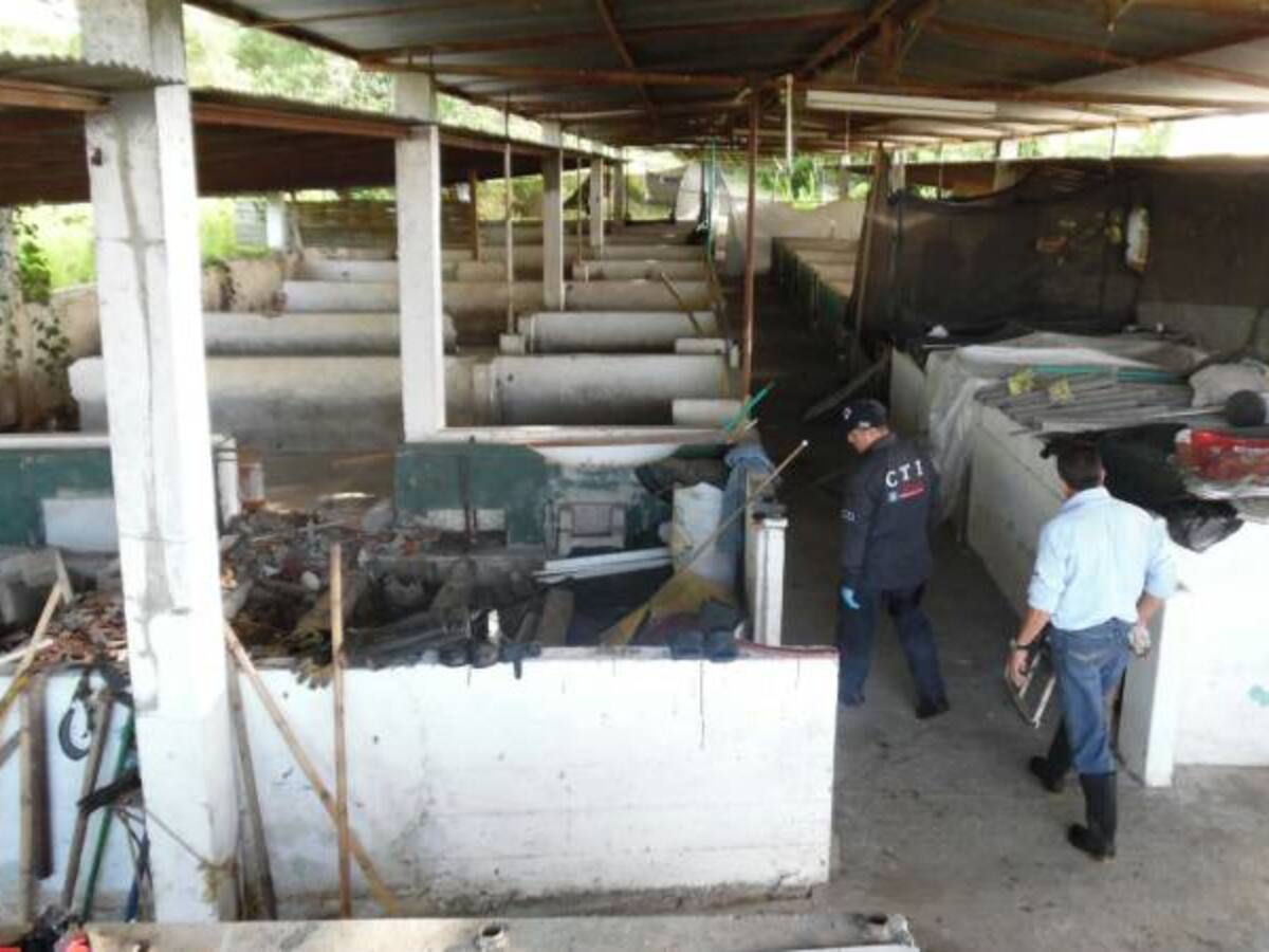 Capturado pereirano presunto cabecilla de una organización de narcotráfico