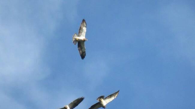 Suministrada Alcaldía de Ibagué
