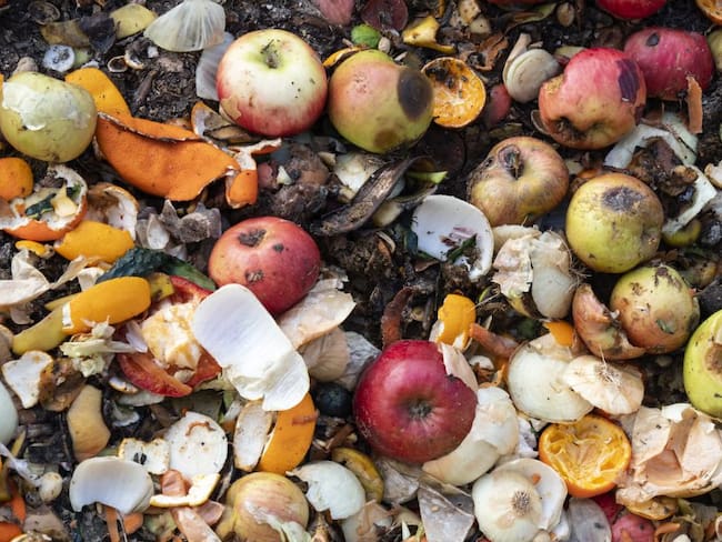 Lista la norma para evitar el desperdicio de miles de toneladas de comida