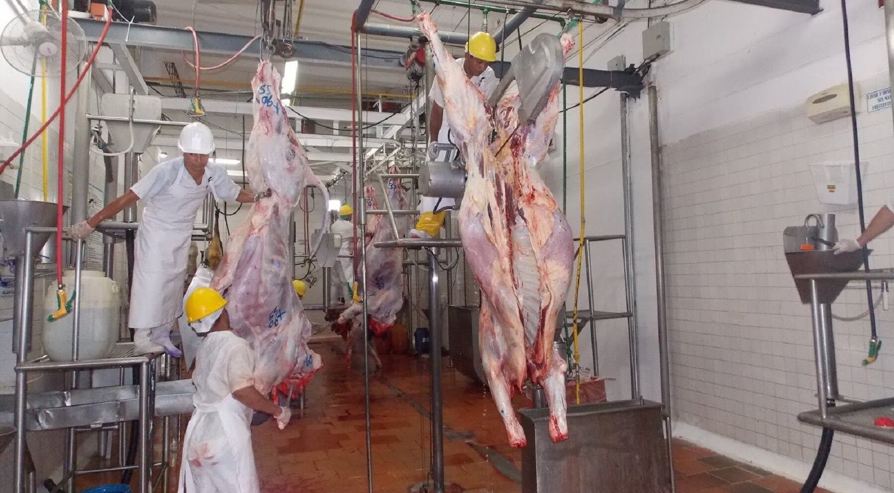 En Neiva venta de cárnicos va en aumento