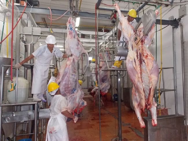 En Neiva venta de cárnicos va en aumento