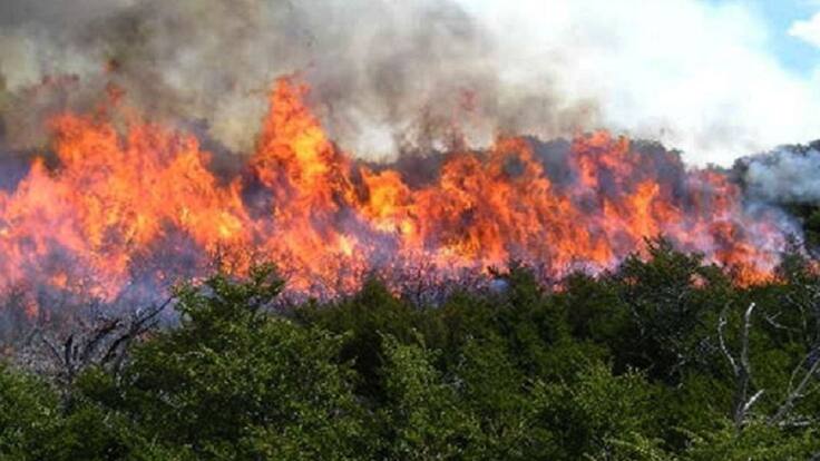 Así avanza el fuerte incendio en Floresta: preocupa la vegetación