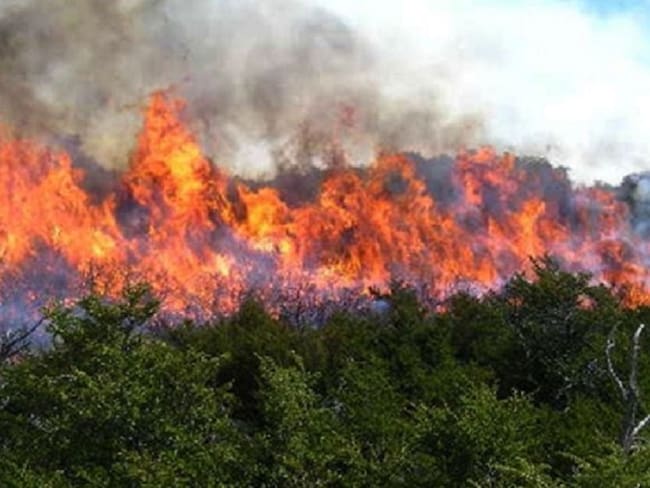 Incendio forestal cerca al Desierto de la Candelaria de Ráquira en Boyacá