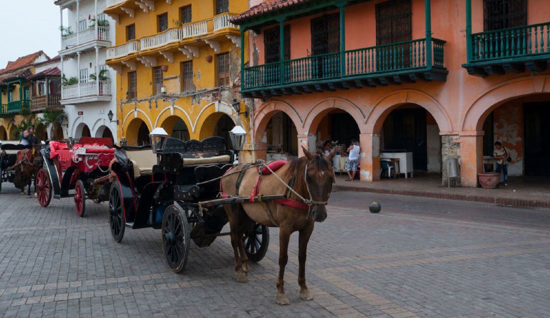 Advierten que Gobierno autorizó transporte de tracción animal para turismo