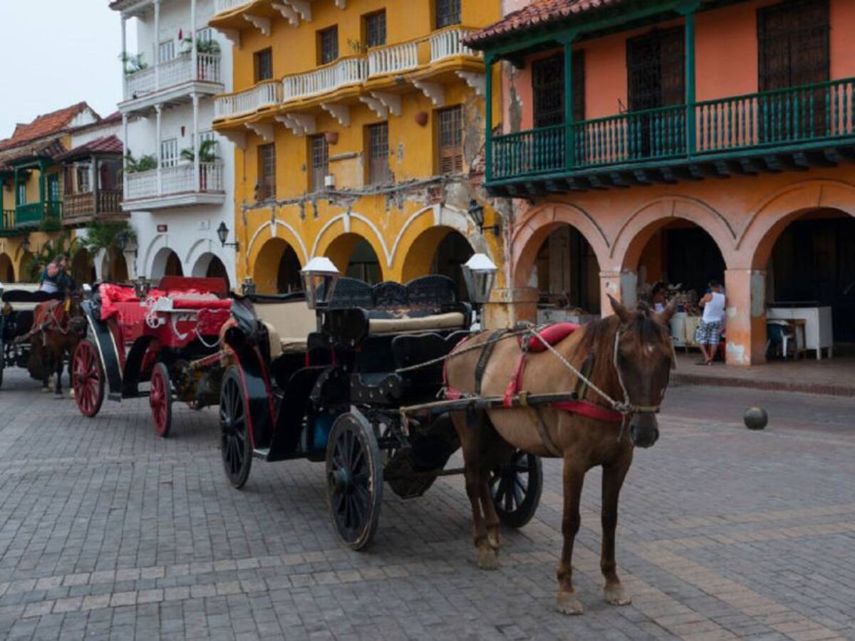 Advierten que Gobierno autorizó transporte de tracción animal para turismo