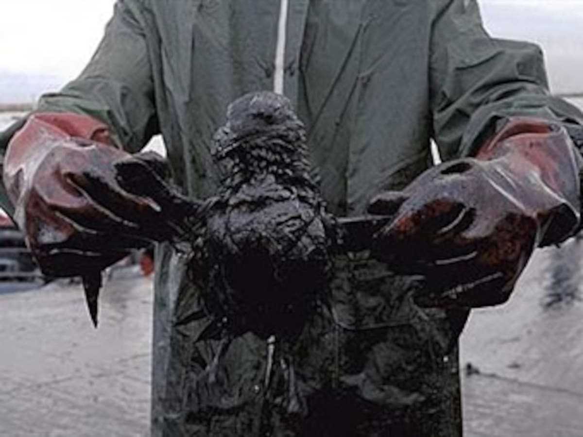 BP reconoce haber manipulado foto que exagera actividad en centro del Golfo de México