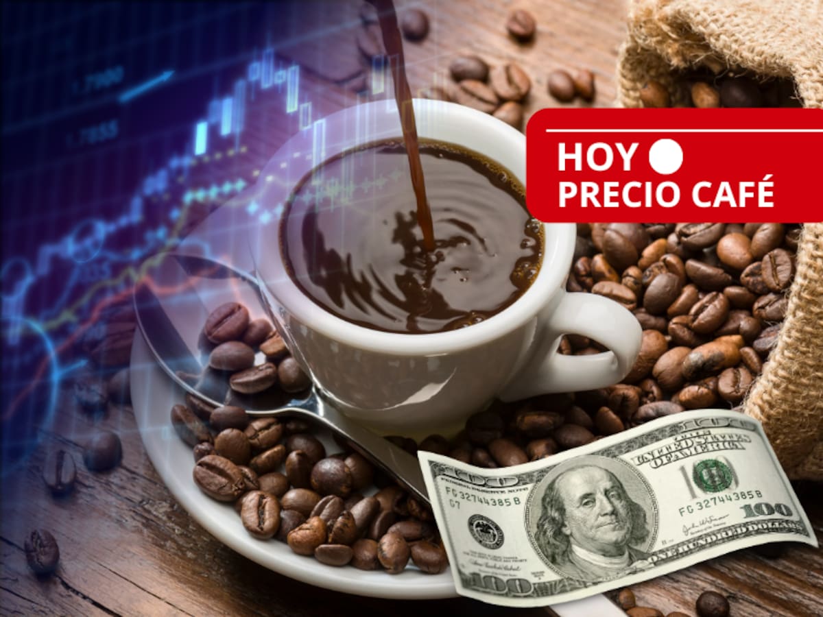 Precio del Café en Colombia para HOY, 13 de enero, según FNC: Reportan nueva disminución