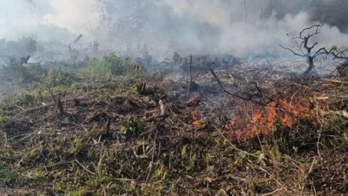 Corponor monitorea situación ambiental por incendios forestales