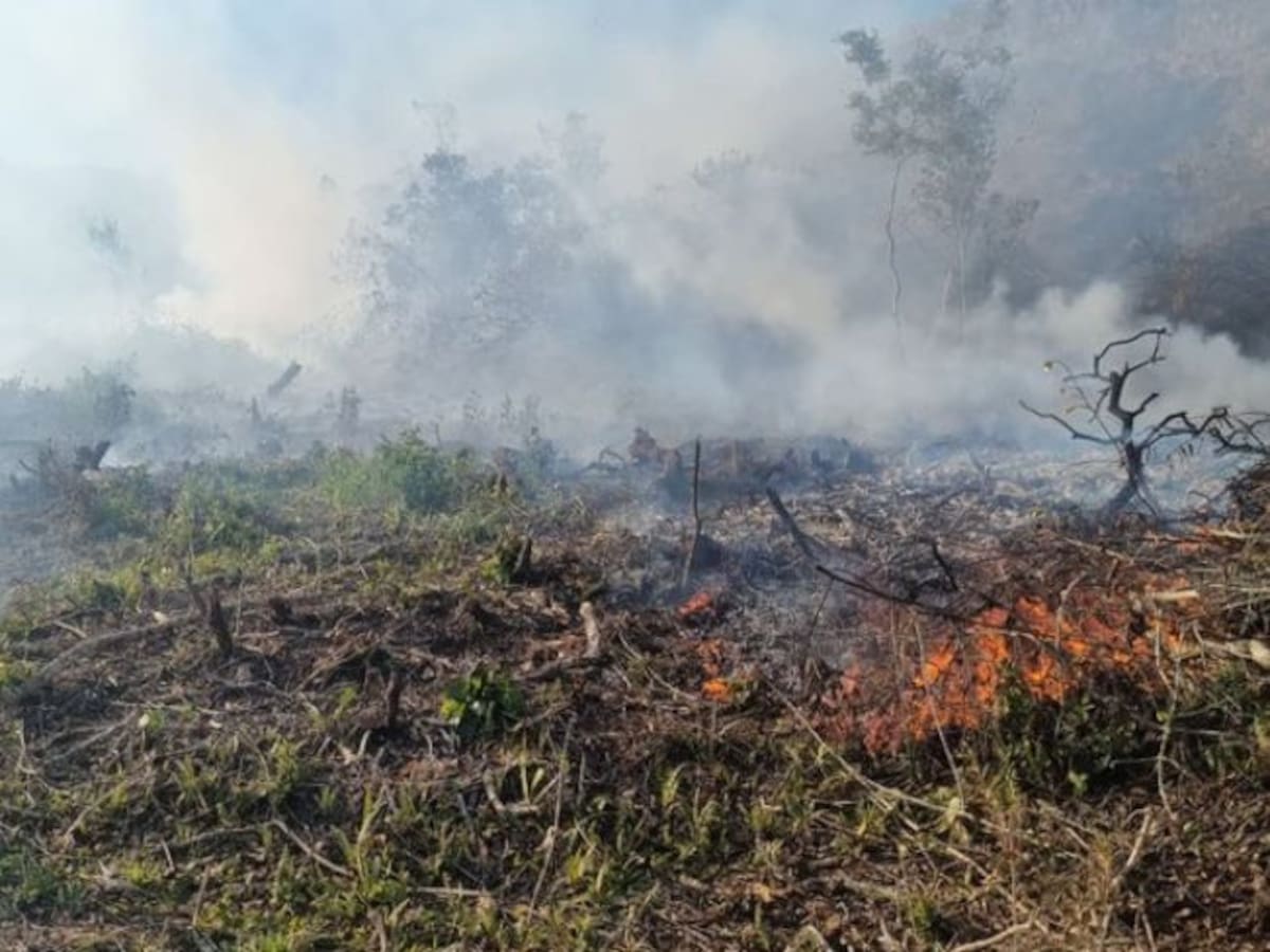 Incendios forestales amenazan sectores de Rionegro y Villanueva, Santander