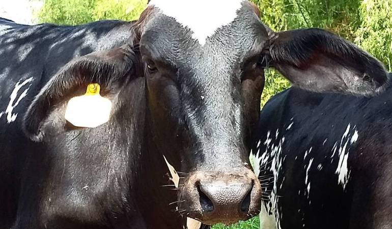 Se espera que el invierno no sea tan fuerte.