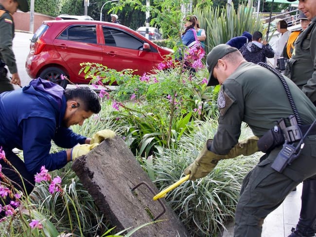 Foto: Corporación Autónoma Regional de Risaralda, Carder.