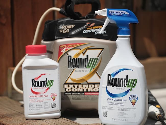 Monsanto: tres derrotas y miles de demandas en EE.UU.