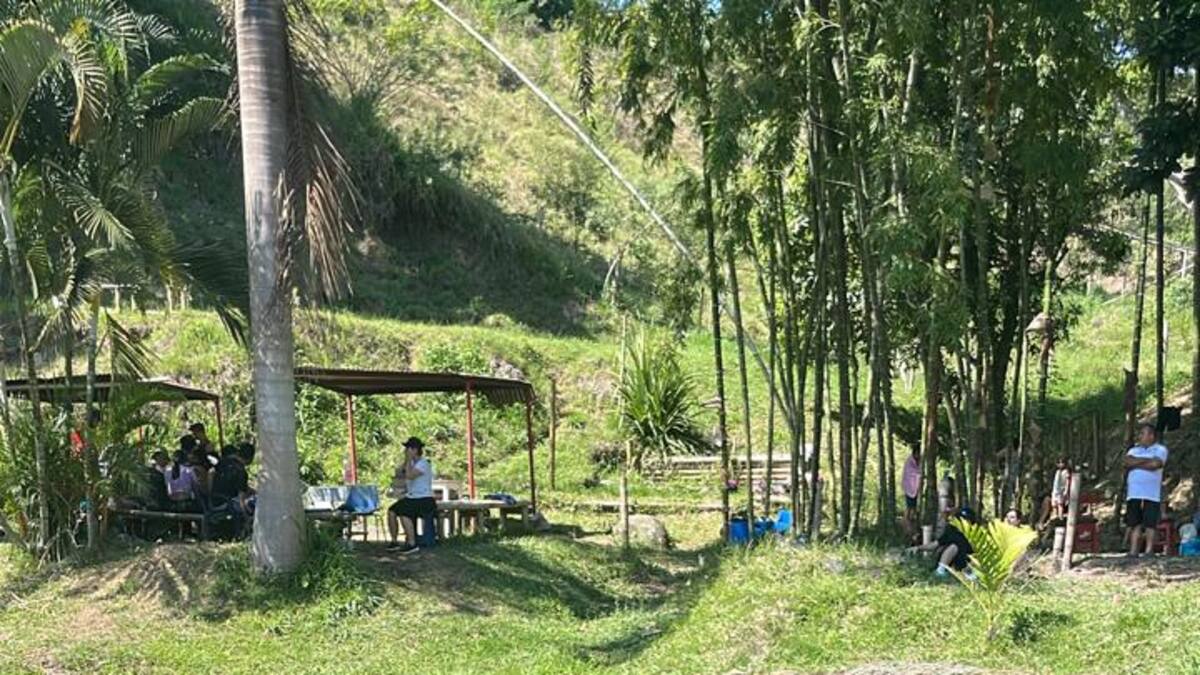Informe incendios en Armenia