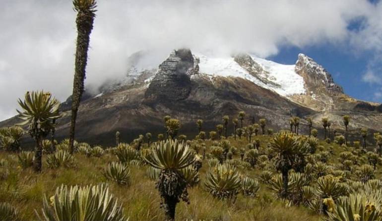 El propósito es proteger estos ecosistemas cargados de agua