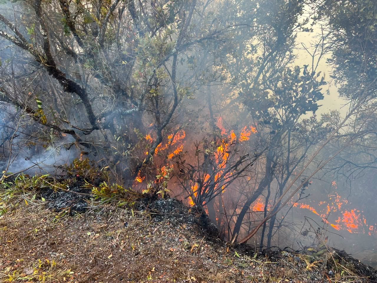 Incendios en Buga, Valle