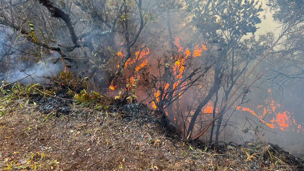 Buga busca apoyo aéreo para medir la magnitud de los incendios forestales