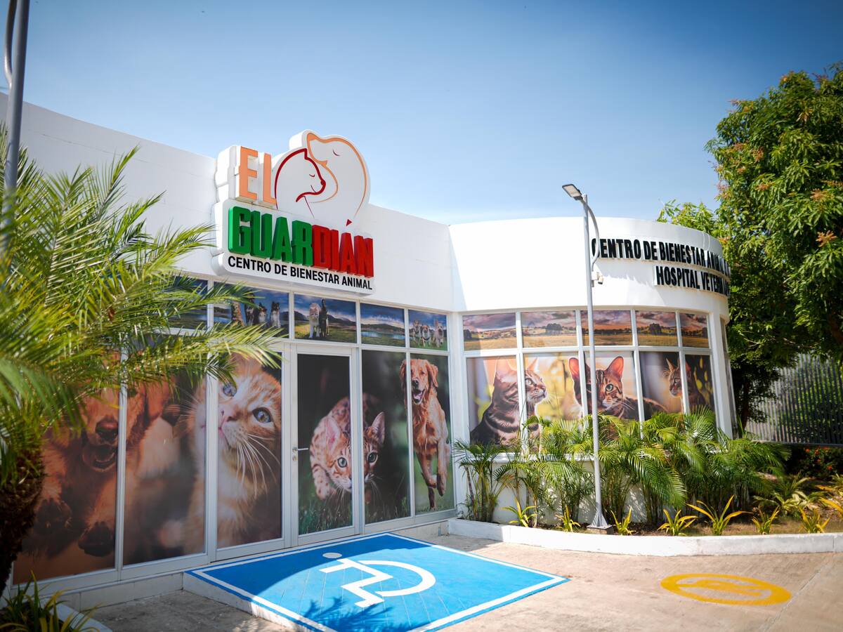 Centro de Bienestar Animal El Guardián se convertirá en albergue temporal
