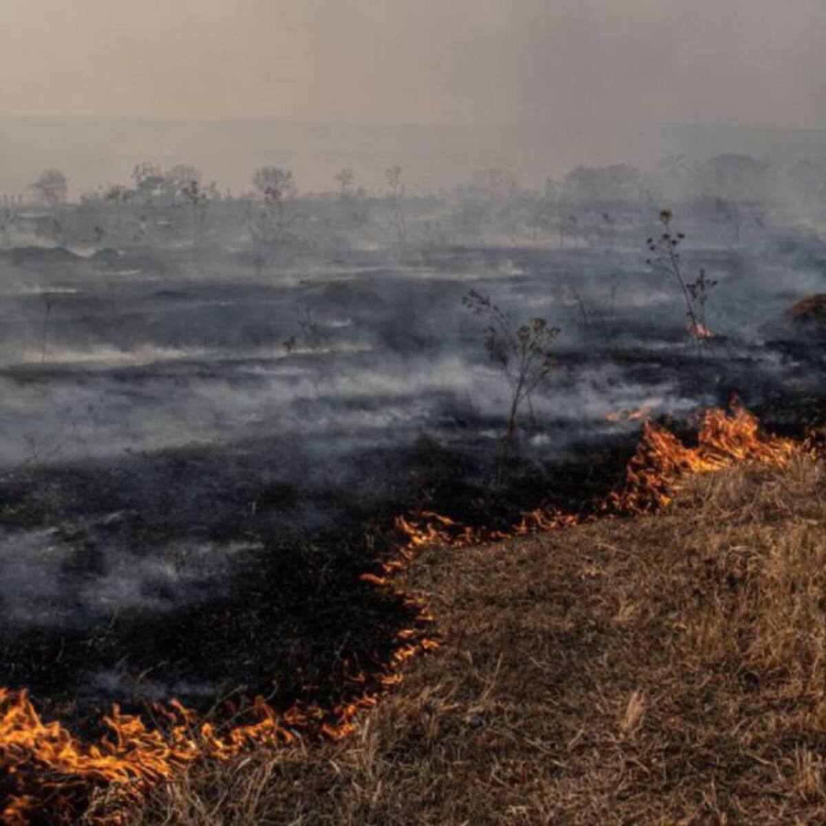 Se mantiene alerta naranja en Barranquilla por incendios forestales
