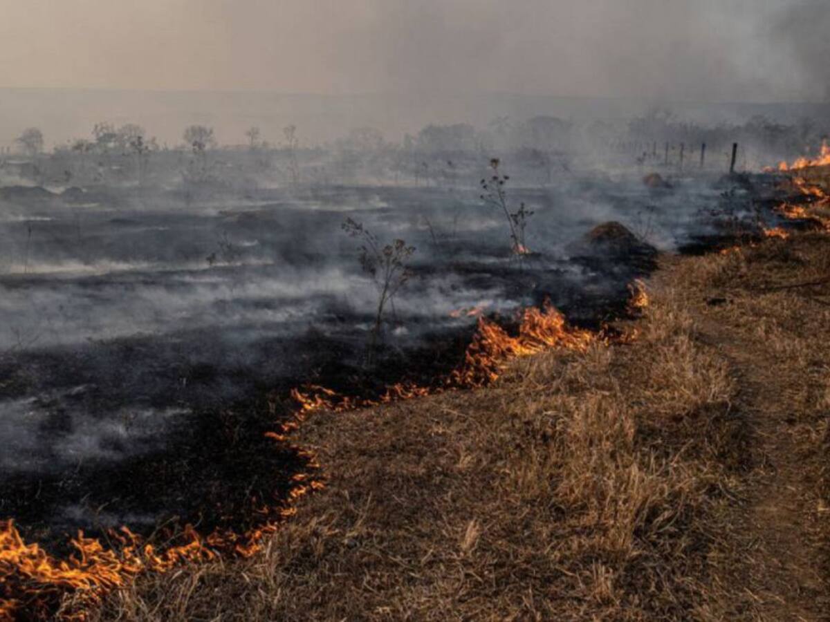 Se mantiene alerta naranja en Barranquilla por incendios forestales