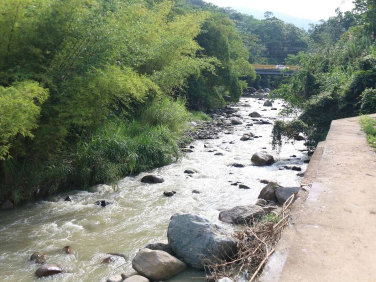 No se ha actuado para disminuir niveles de mercurio en Suratá: Defensoría