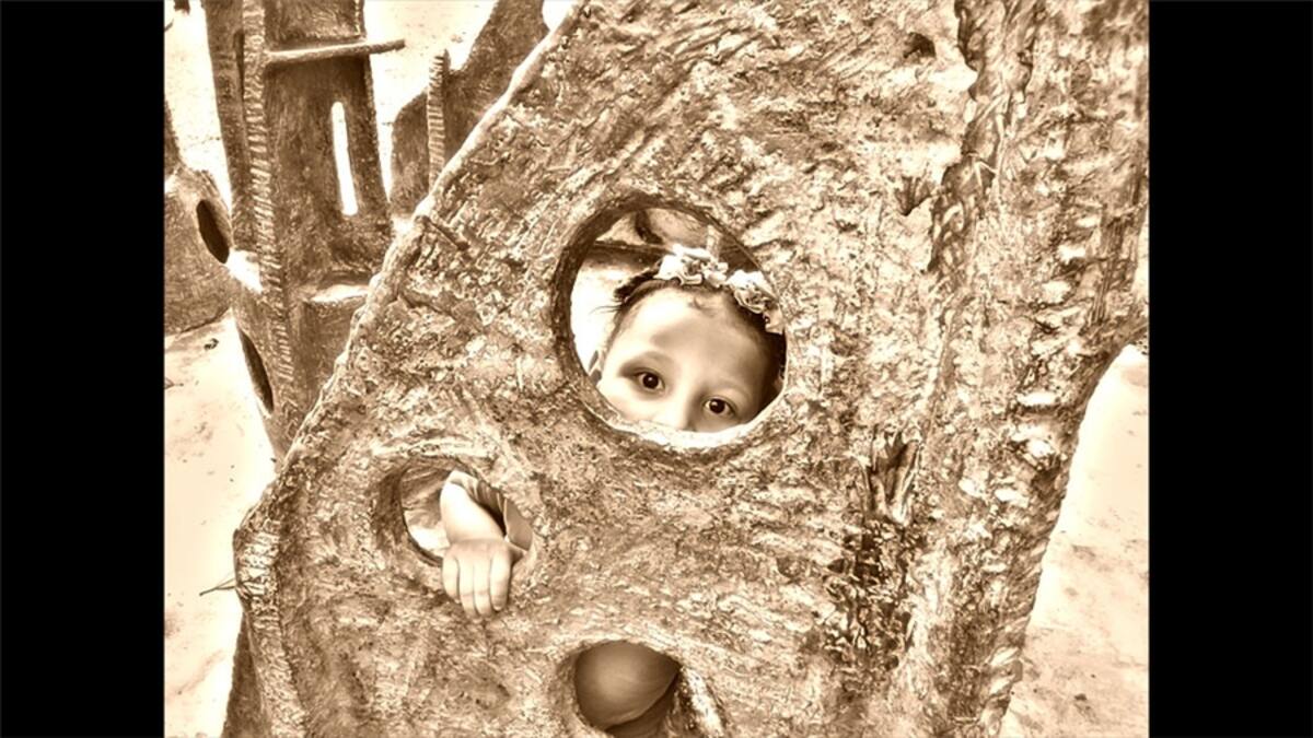 Aquí vemos a “estos animalitos” que nos envía Gresstelly Alejandro, “cuyas habitaciones están hechas de rejillas”.