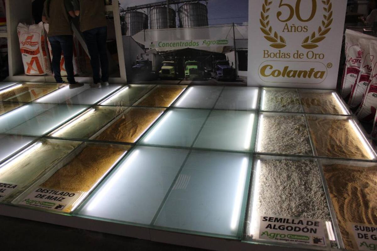 Así va la puesta en marcha de Expocolanta 2014