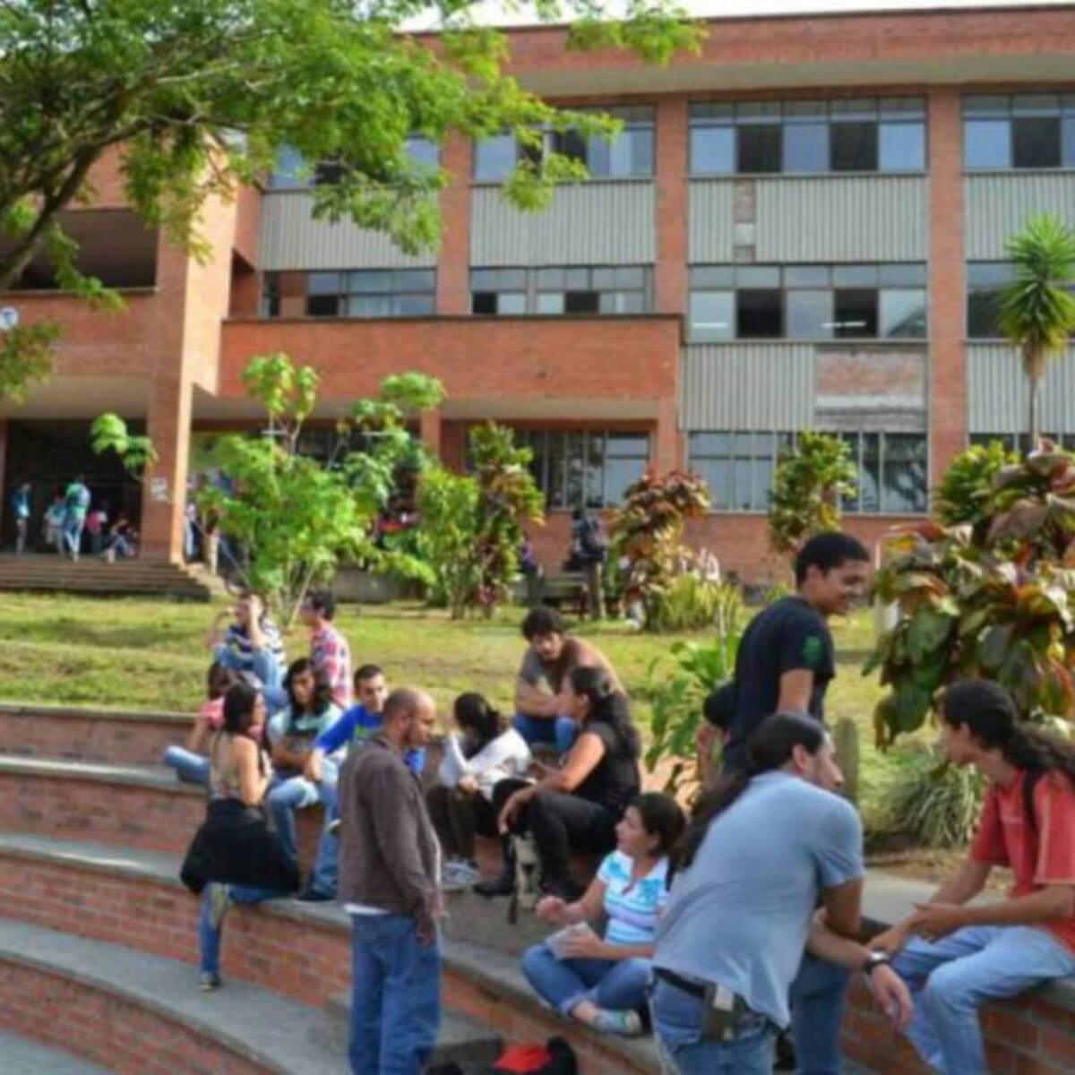 Deserción universitaria en Pereira podría alcanzar el 15 %