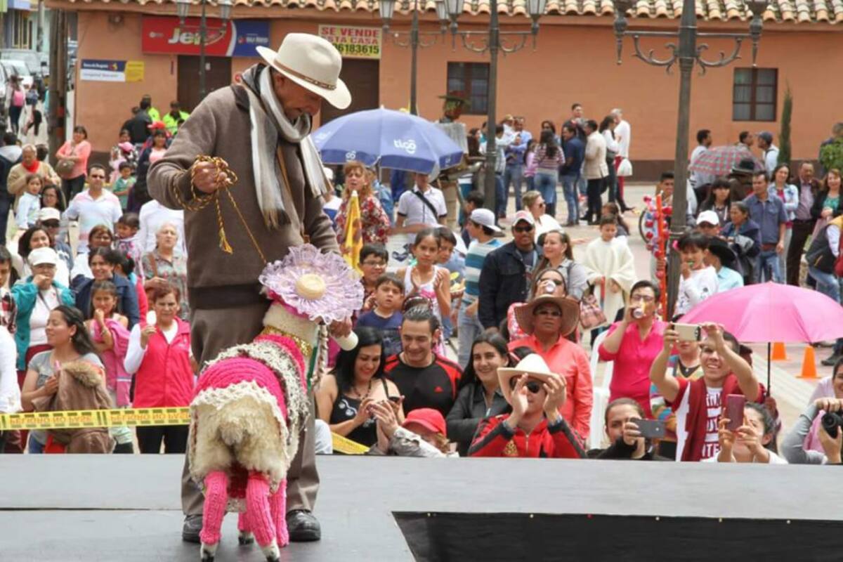 Catalina, la nueva Oveja reina, que ganó el reinado de Ovejas en Nobsa, Boyacá.