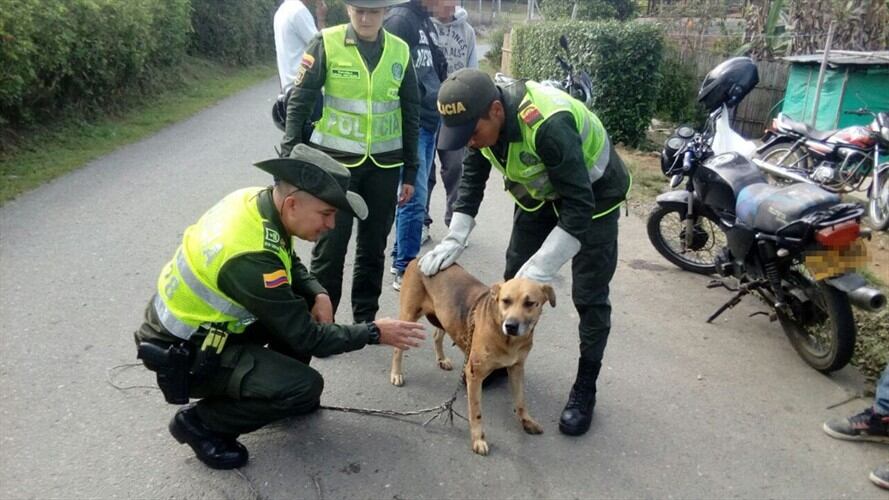 Un individuo fue sorprendido llevando a una perra amarrada a una motocicleta. Foto: Policía Nacional