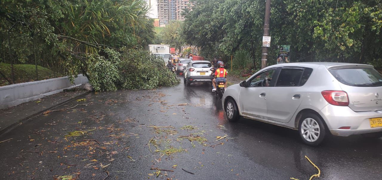 Foto: Alcaldía de Pereira