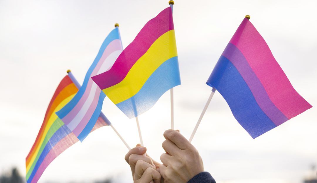 Siferencia pansexual y bisexual