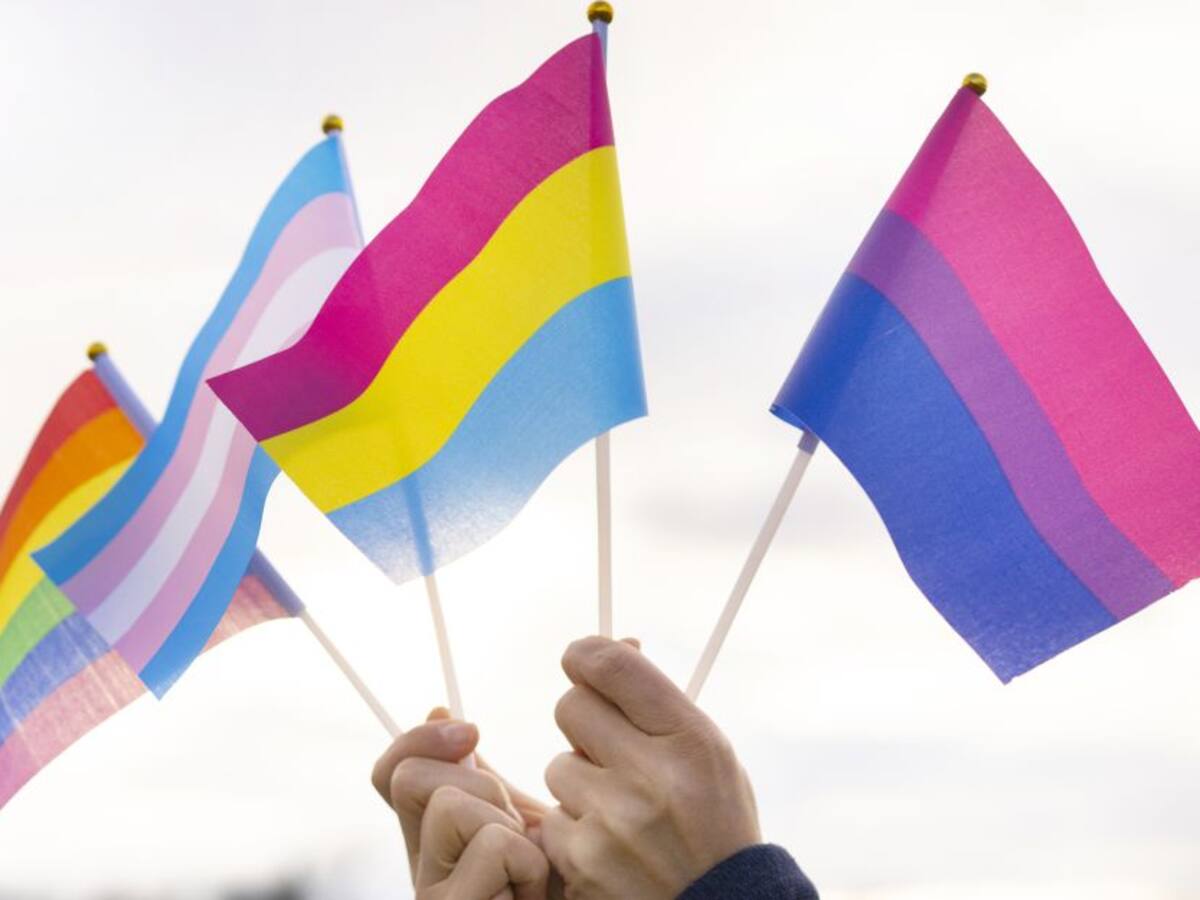 Diferencia pansexual y bisexual