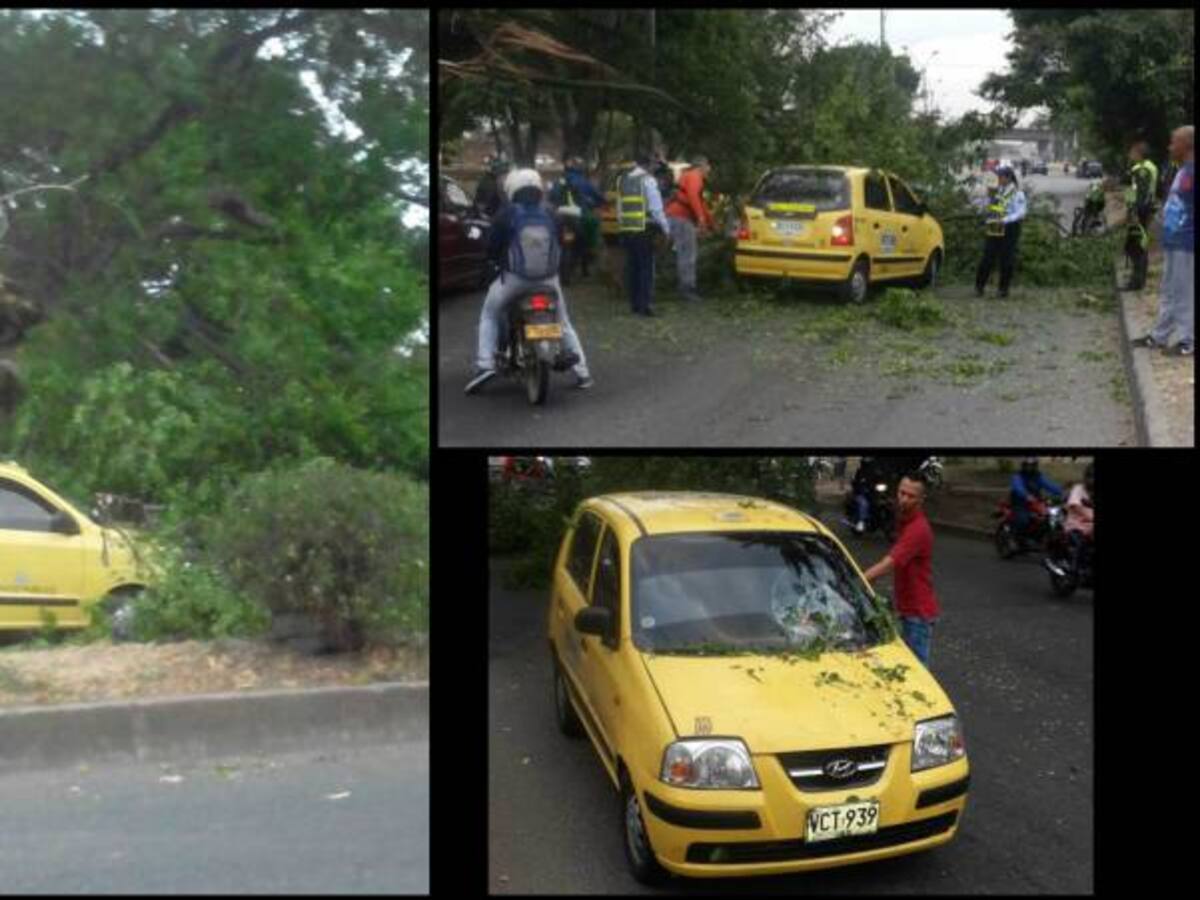 Congestión en el norte por árbol que cayó sobre taxi